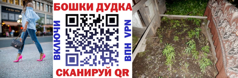 Шишки марихуана Amnesia  Ленинск 
